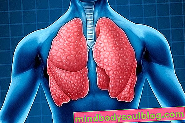 أمراض الجهاز التنفسي: ما هي وأعراضها وماذا تفعل