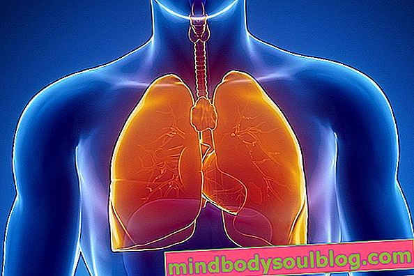Pengolahan air paru-paru