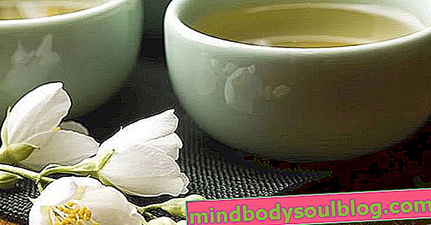 Ползи и как да приготвите бял чай, за да увеличите метаболизма и да изгорите мазнините