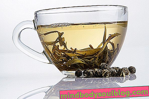 יתרונות וכיצד להכין תה לבן להגברת חילוף החומרים ולשרפת שומנים