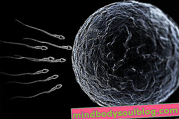Bagaimana memahami hasil spermogram