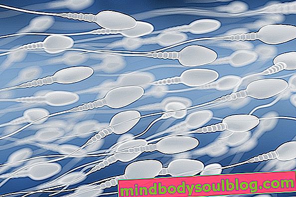 Spermogramme: qu'est-ce que c'est, comment c'est fait et à quoi ça sert