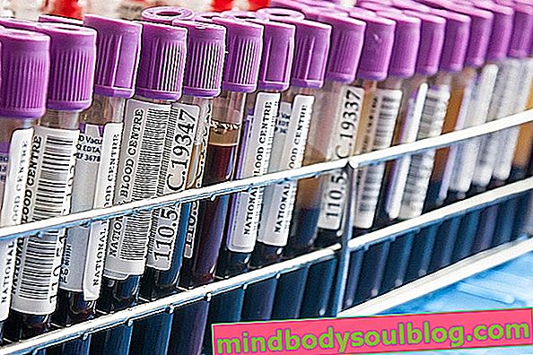 Des tests sanguins qui détectent le cancer