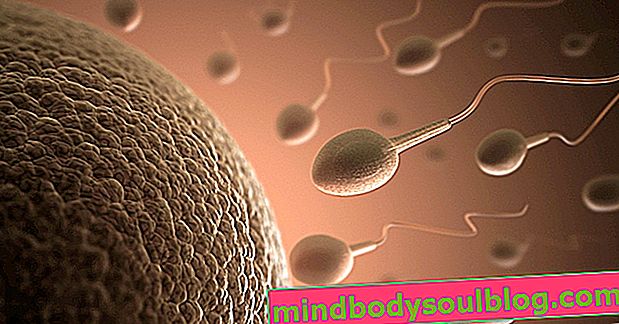 Test d'ovulation (fertilité): comment faire et identifier les jours les plus fertiles