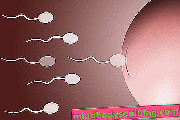 Que faire pour stimuler l'ovulation
