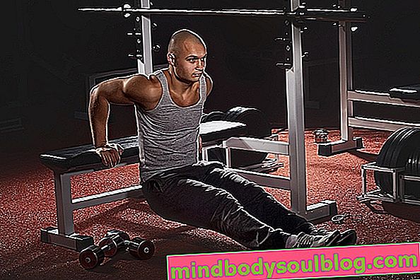 Exercices pour les biceps, les triceps, les avant-bras et les épaules