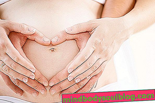 Babyentwicklung - 12 Schwangerschaftswochen