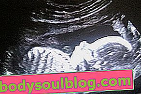 赤ちゃんの発育-妊娠22週間