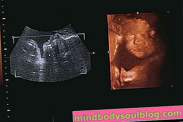 Perkembangan bayi - kehamilan 27 minggu