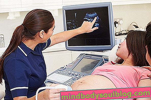 Ultrasound morfologi: apa itu, apa tujuannya dan kapan harus dilakukan