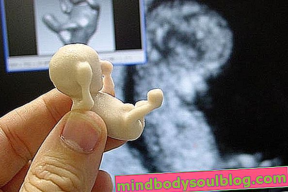 Développement du bébé - 11 semaines de gestation