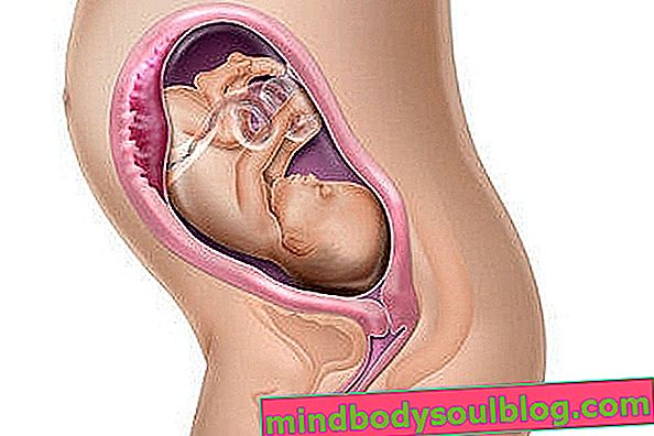 Perkembangan bayi - 26 minggu kehamilan