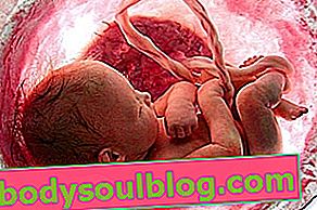 Babyentwicklung - 39 Schwangerschaftswochen