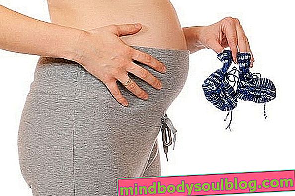 Perawatan utama pada trimester pertama kehamilan (0 hingga 12 minggu)