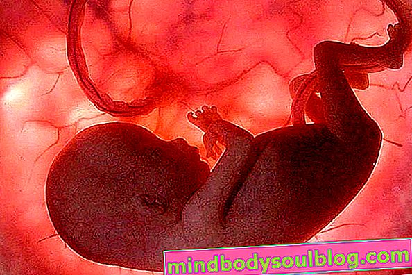 Qu'est-ce que la détresse fœtale et quels sont ses signes