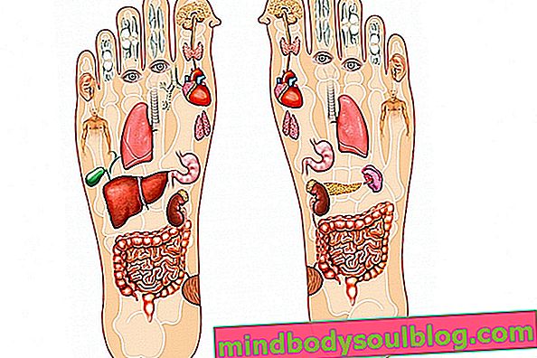 Refleksologi kaki: apa itu, apa itu dan bagaimana melakukannya
