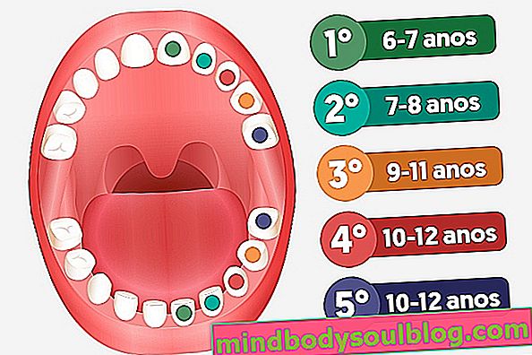 ฟันน้ำนมควรหลุดเมื่อไหร่และควรทำอย่างไร