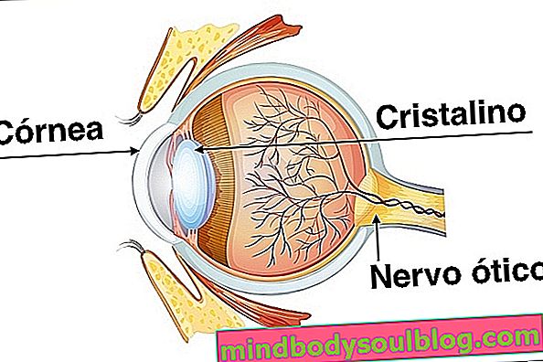 角膜の傷を治療する方法