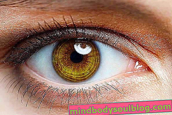 7 причини, поради които окото ви трепери и какво да правите