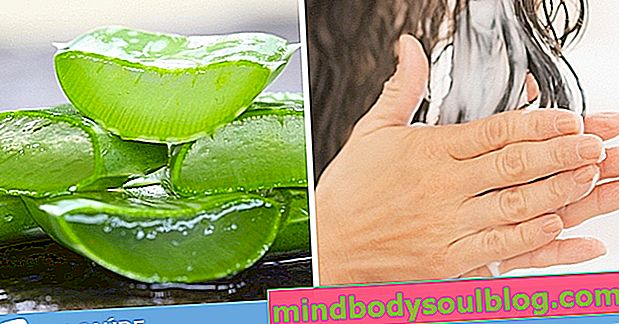 6 Vorteile von Aloe Vera für Haut und Haar