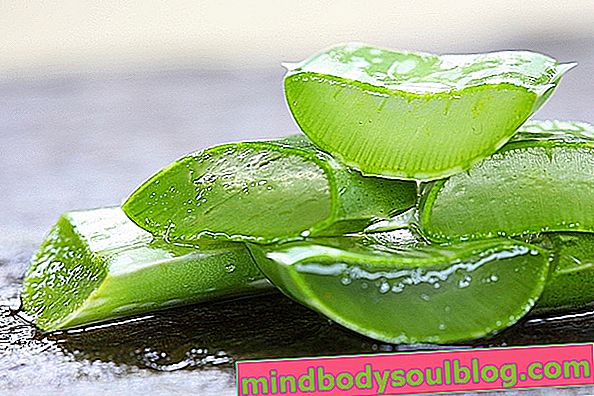 6 Vorteile von Aloe Vera für Haut und Haar
