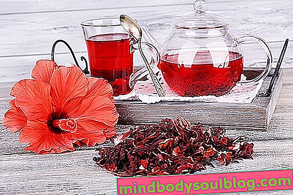 Hibiskus-Tee: 9 gesundheitliche Vorteile und wie man nimmt