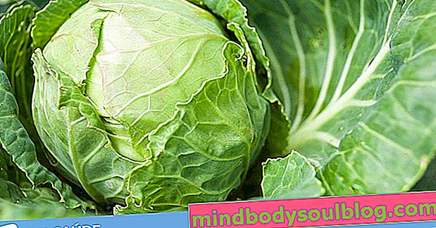 13 ползи за здравето от Kale