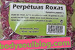 Wofür ist Perpétua Roxa Tee?