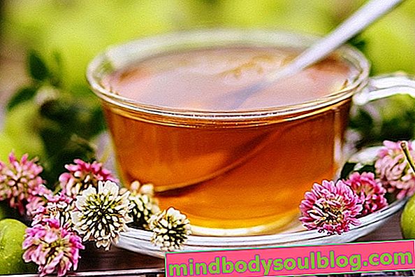 Avantages du thé à la menthe (et 7 délicieuses recettes)