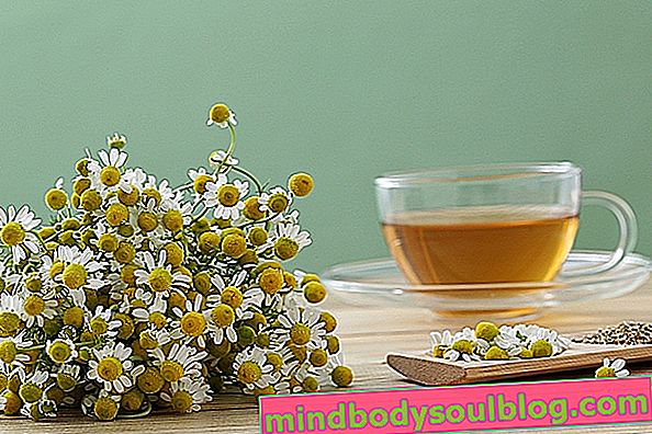 9 bienfaits du thé à la camomille pour la santé