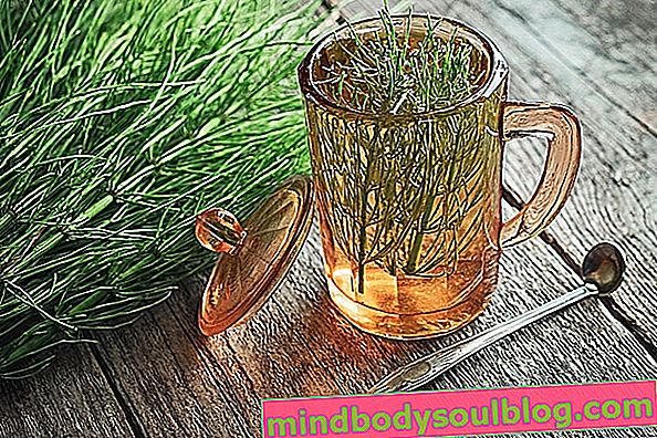 Tees zur natürlichen Behandlung von Harnwegsinfektionen