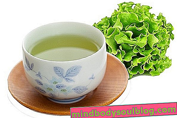 Kopfsalat-Tee gegen Magenschmerzen