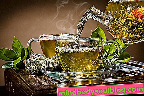 Hauptvorteile von Carqueja-Tee