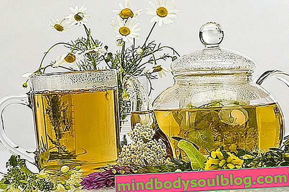 7 Tees zur Verbesserung der Verdauung und zur Bekämpfung von Darmgas