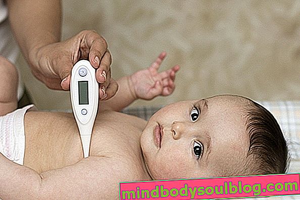 Cara mengetahui apakah itu demam pada bayi (dan penyebab paling umum)