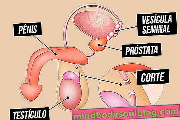 Як працює вазектомія та найпоширеніші питання