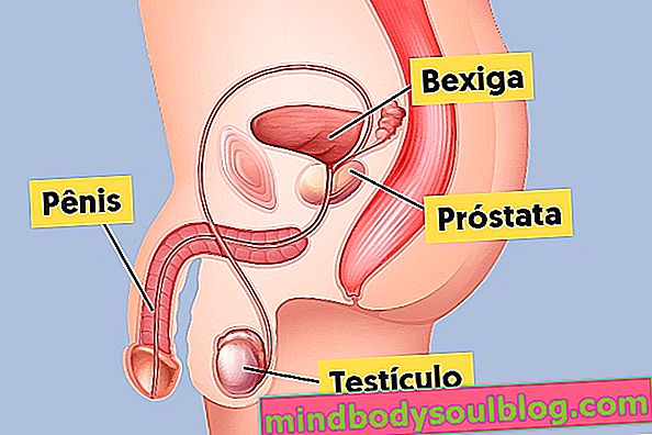 Всичко, което трябва да знаете за простатата