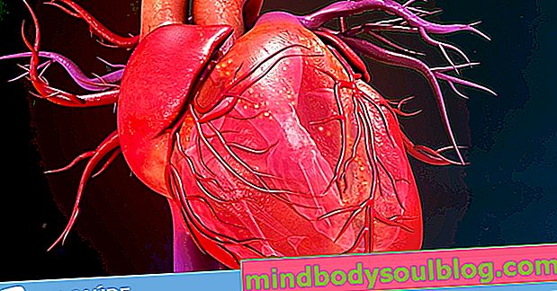 11 Anzeichen, die auf Herzprobleme hinweisen können