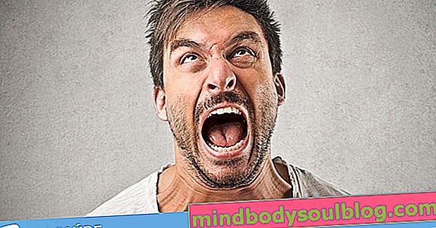 Rage humaine (hydrophobie): qu'est-ce que c'est, symptômes et traitement