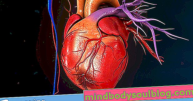 Синдром на счупено сърце: какво е това, симптоми и лечение