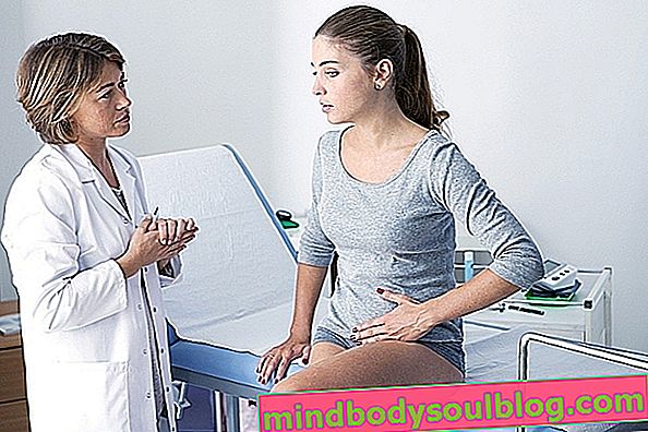 子宮内膜：それが何であるか、それがどこにあるか、そして起こり得る病気